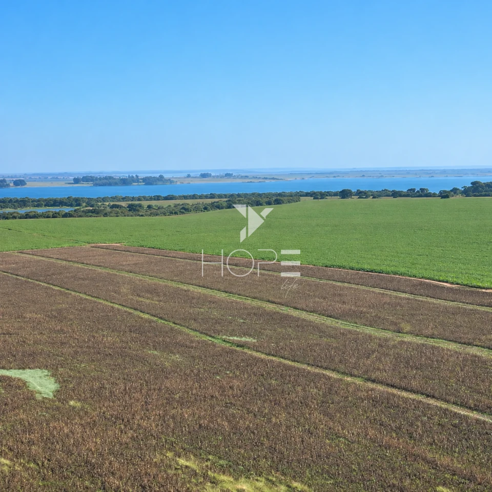 Imagens do imóveis Fazenda á Venda - 755 Hectares - Frente para a Represa do Rio Tibagi - Sertaneja/PR