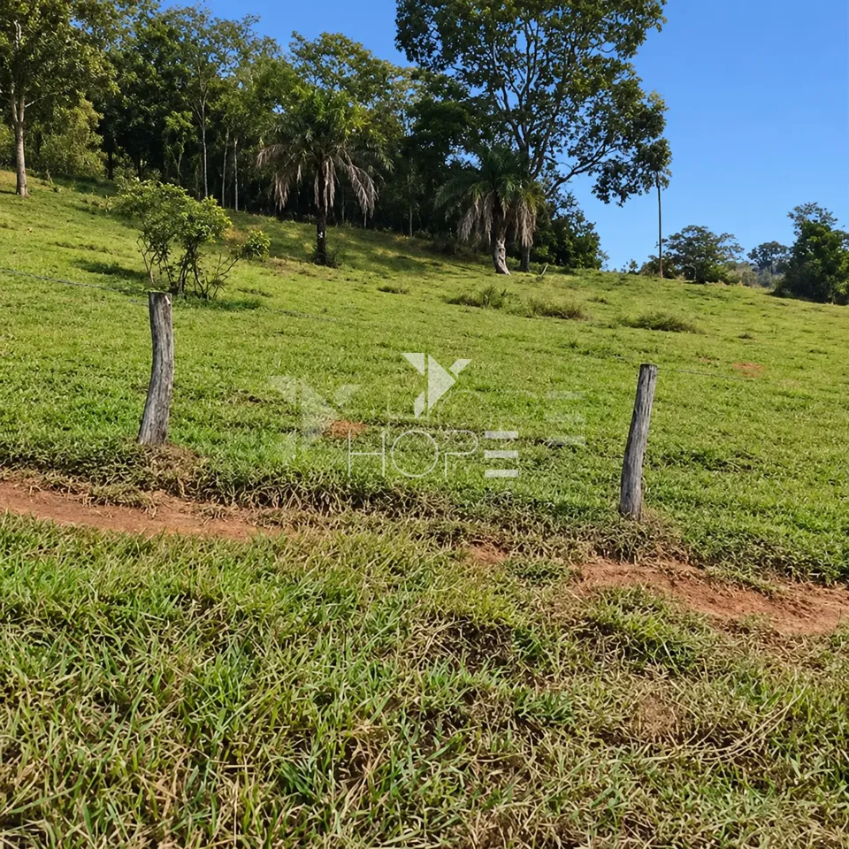 Imagens do imóveis Fazenda à Venda – Zona Rural – Rubiataba/GO