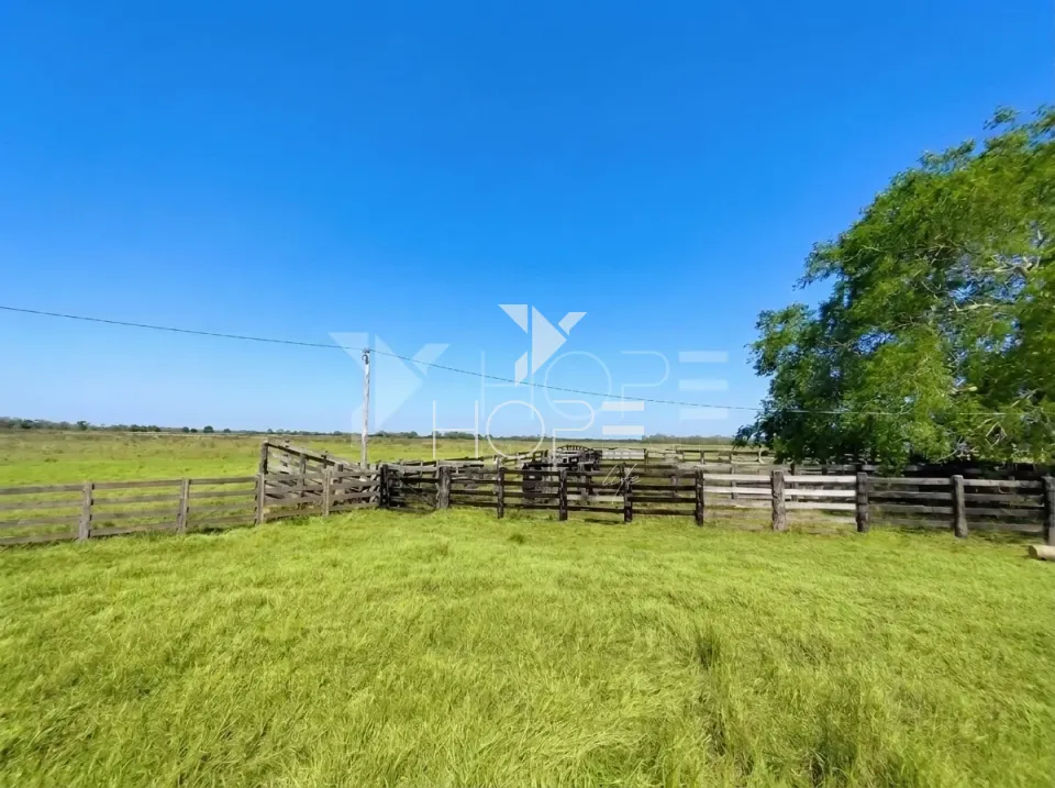 Imagens do imóveis Fazenda Pecuária à Venda – 1.000 Hectares – Estrutura para Pecuária – Poconé/MT