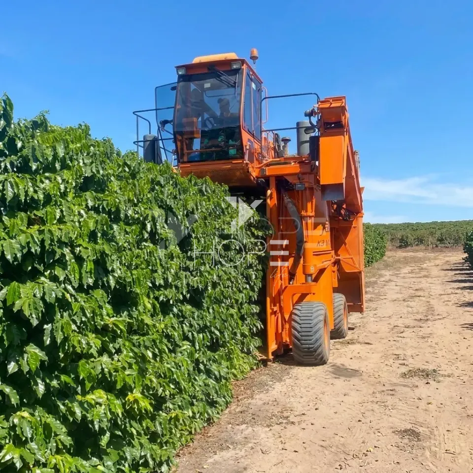 Imagens do imóveis Fazenda de Cafeicultura à Venda – 4.767,18 Hectares – Cafeicultura e Produção de Grãos – Unaí/MG