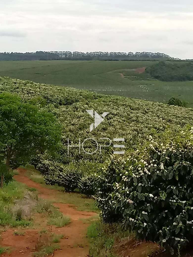 Imagens do imóveis fazenda cafeeira à venda 970 hectares produção de exportação – município de Capelinha – Minas Gerais