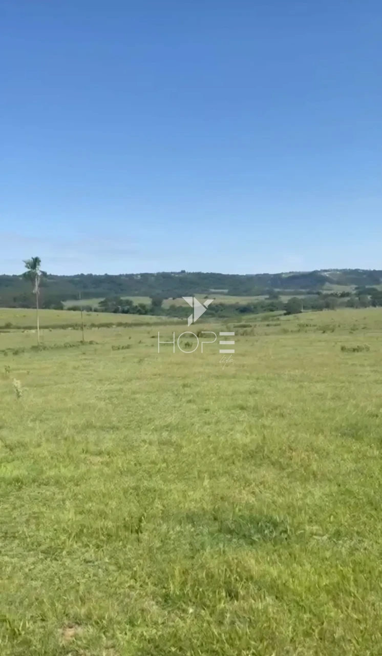 Imagens do imóveis Fazenda à venda com 204.5 alqueires - pecuária bovina - estrutura completa - região de Marília SP