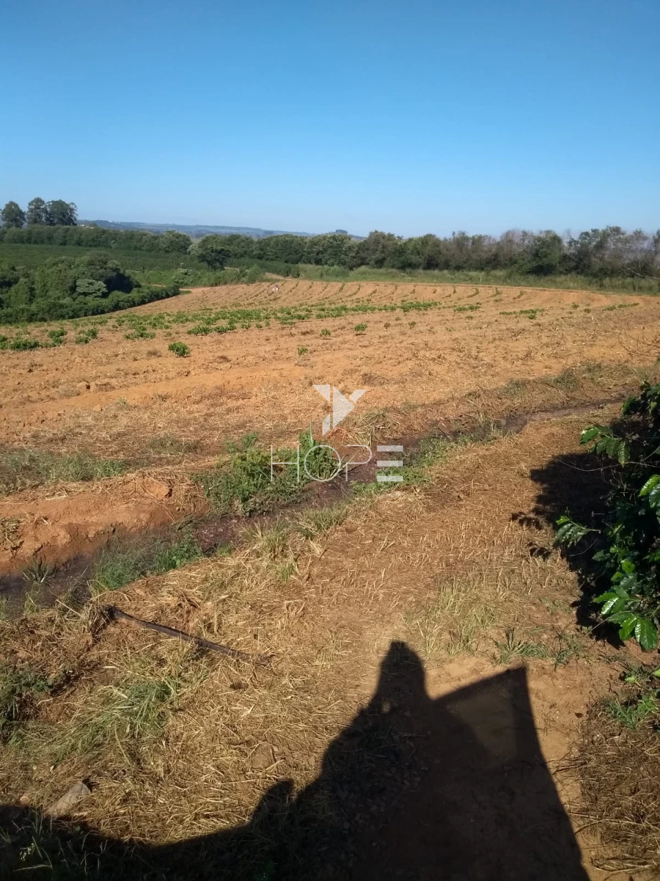 Imagens do imóveis Fazenda à venda 1.006 hectares cafeeira – região de Campos Altos – Minas Gerais