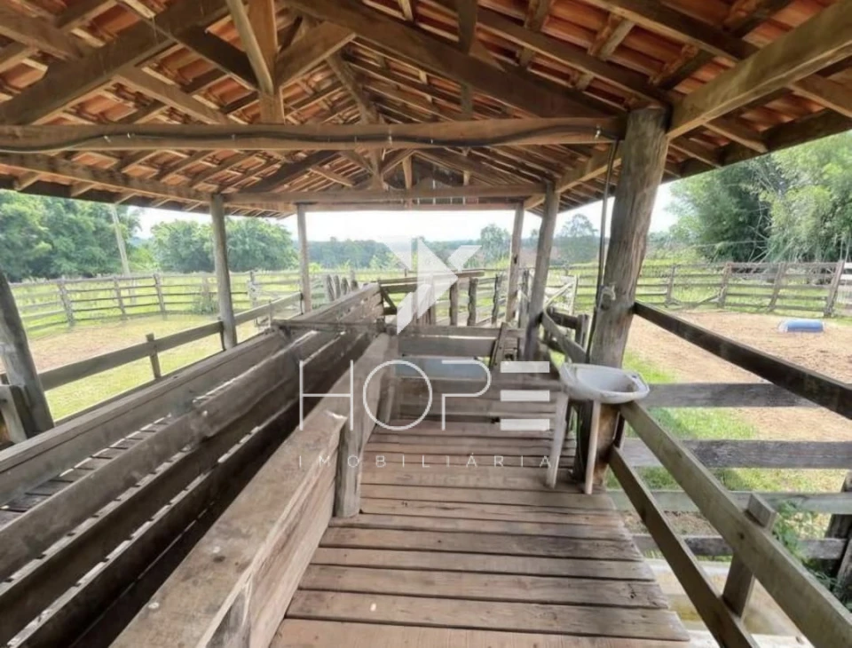 Imagens do imóveis Fazenda à Venda Proximo a Marília/SP – 146 Alqueires – 90% Aproveitamento – Rica em Água