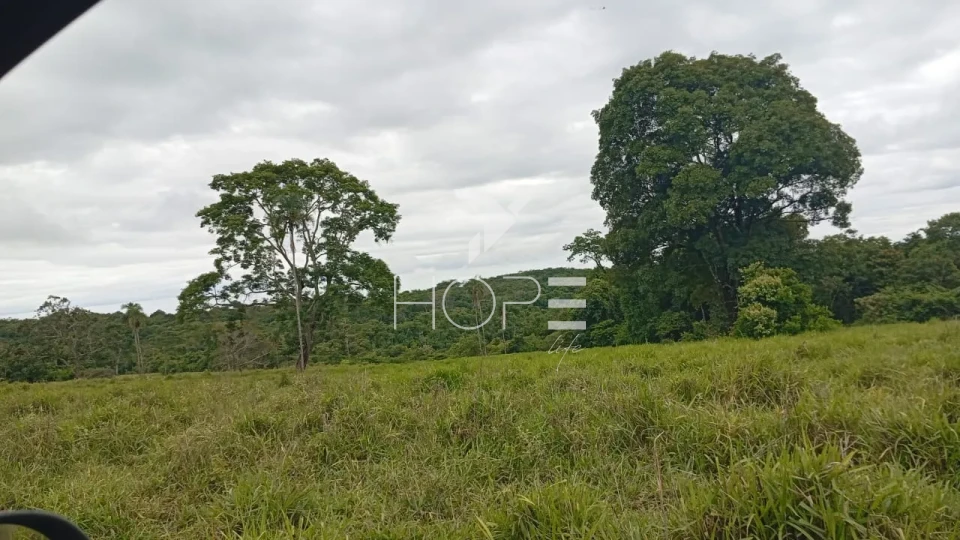Imagens do imóveis Fazenda à venda com 260 alqueires - 201 formados - confinamento - apta para pivô - Mozarlândia GO