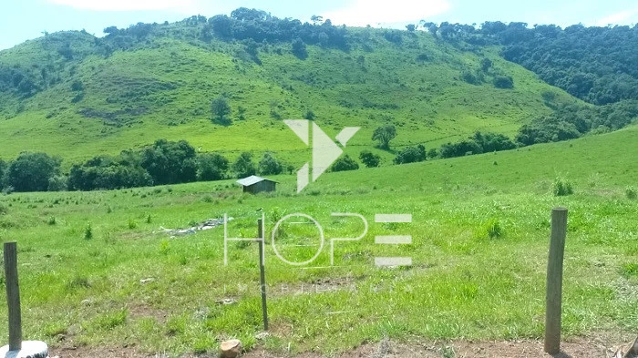 Imagens do imóveis Fazenda Porteira Fechada à Venda – 355 Alqueires – Nova Tebas/PR – Pecuária Montada (Nelore) – Estrutura Completa