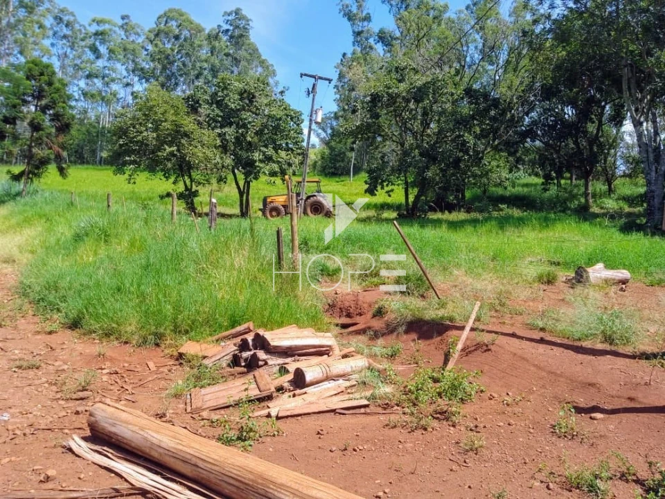 Fazenda à venda com 76 alqueires - pecuária com potencial agrícola - Guaravera - Londrina PR