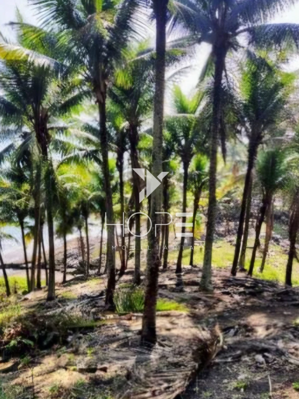 Ilha à venda no Guarujá – SP | Ativo imobiliário exclusivo para investidor