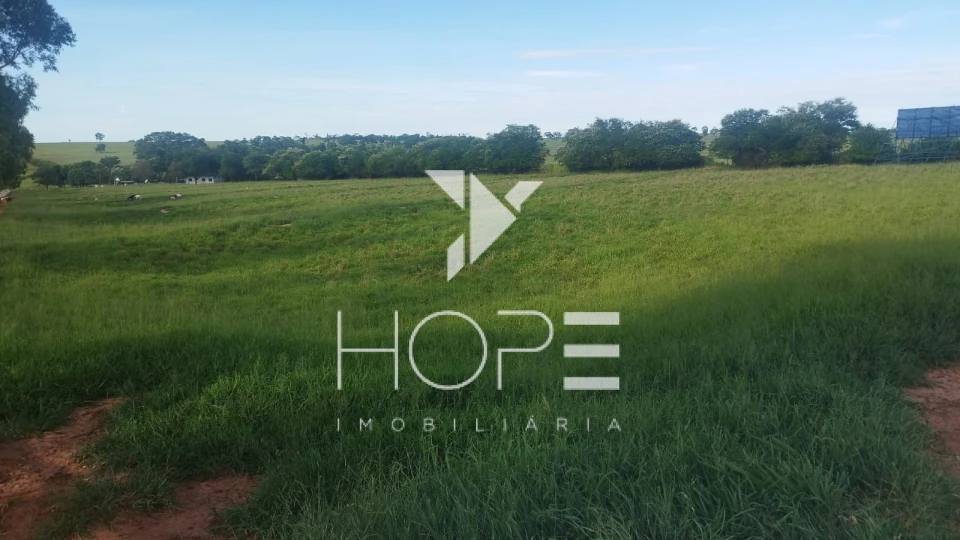 Imagens do imóveis Fazenda à venda 126 alqueires pecuária – região de Loanda – Paraná