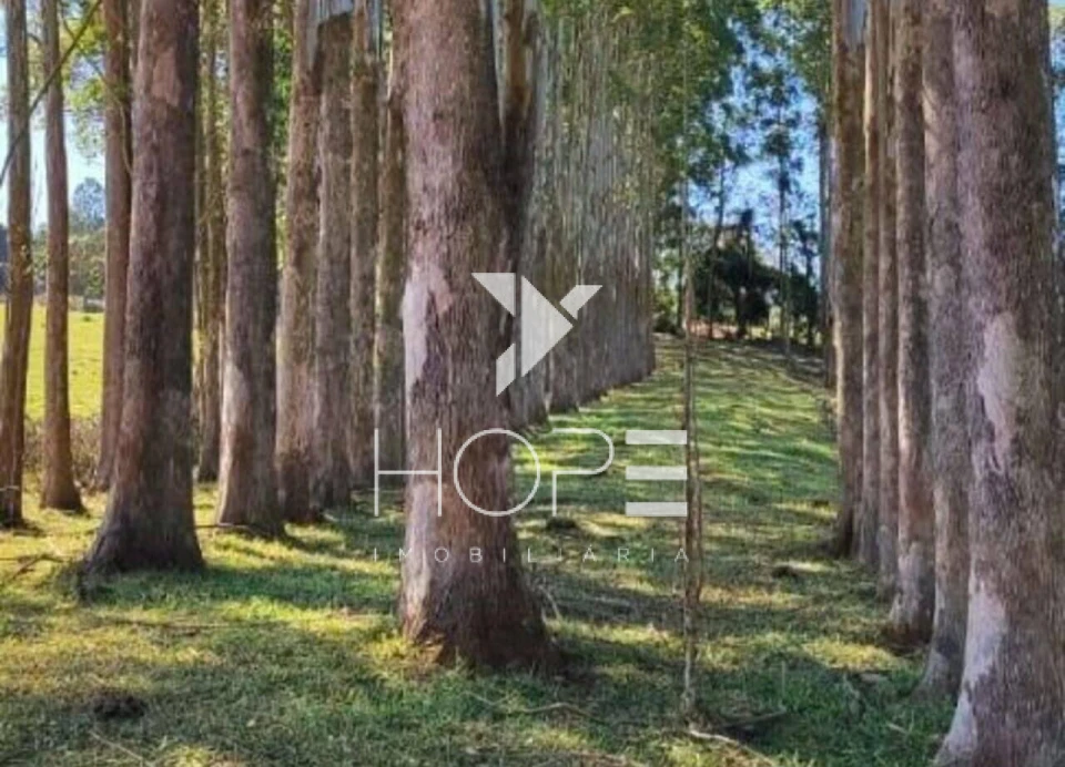 Fazenda à venda na região de Botucatu/SP – 119,5 alqueires – Rica em água