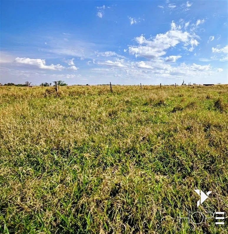 Fazenda à Venda – 155 Alqueires – Nossa Senhora das Graças/PR