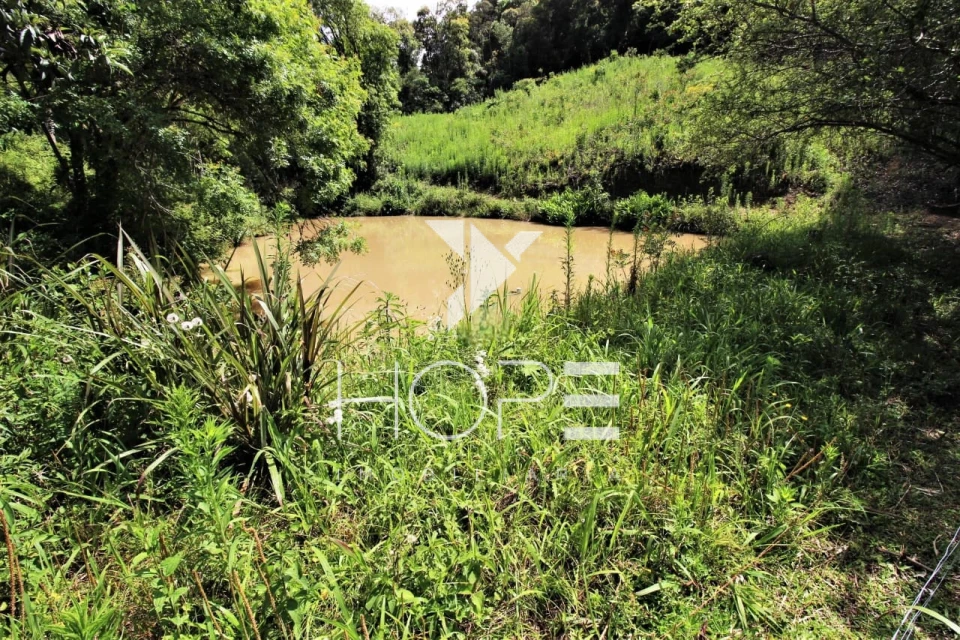 Chácara Completa à Venda  3.8 Alqueres Paulista e 4 Minas de Água – Agudos do Sul PR