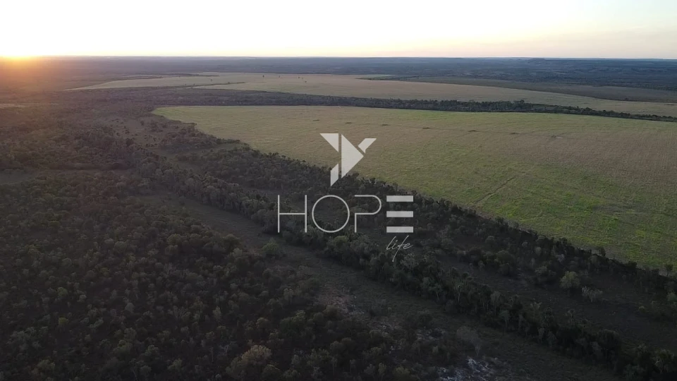 Imagens do imóveis Fazenda à venda 397 alqueires dupla aptidão com lavoura em formação – Tocantins – região de Palmas