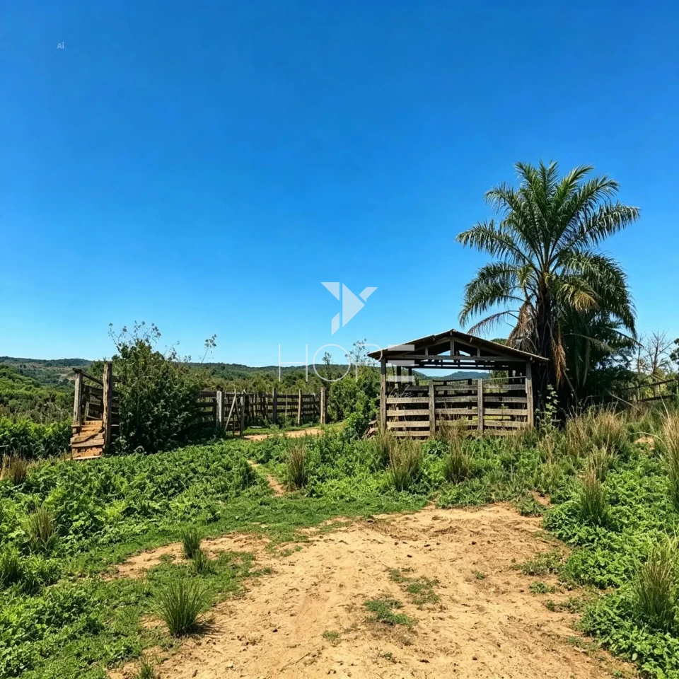 Fazenda à Venda com Aptidão Pecuária – 364 Hectáres – Três Marias/MG