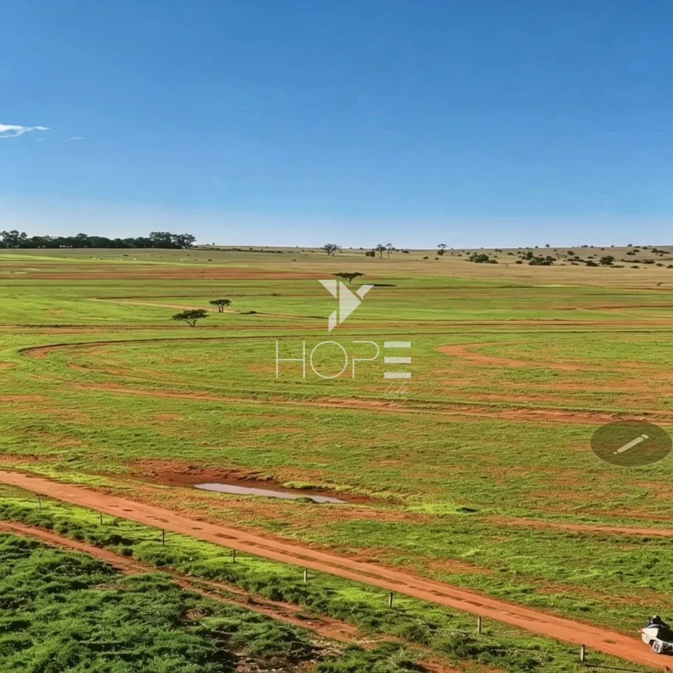Imagens do imóveis Fazenda à Venda com Aptidão Pecuária - Topografia Plana – 560 Alqueires – Rosana/SP - Fronteira SP - PR - MS