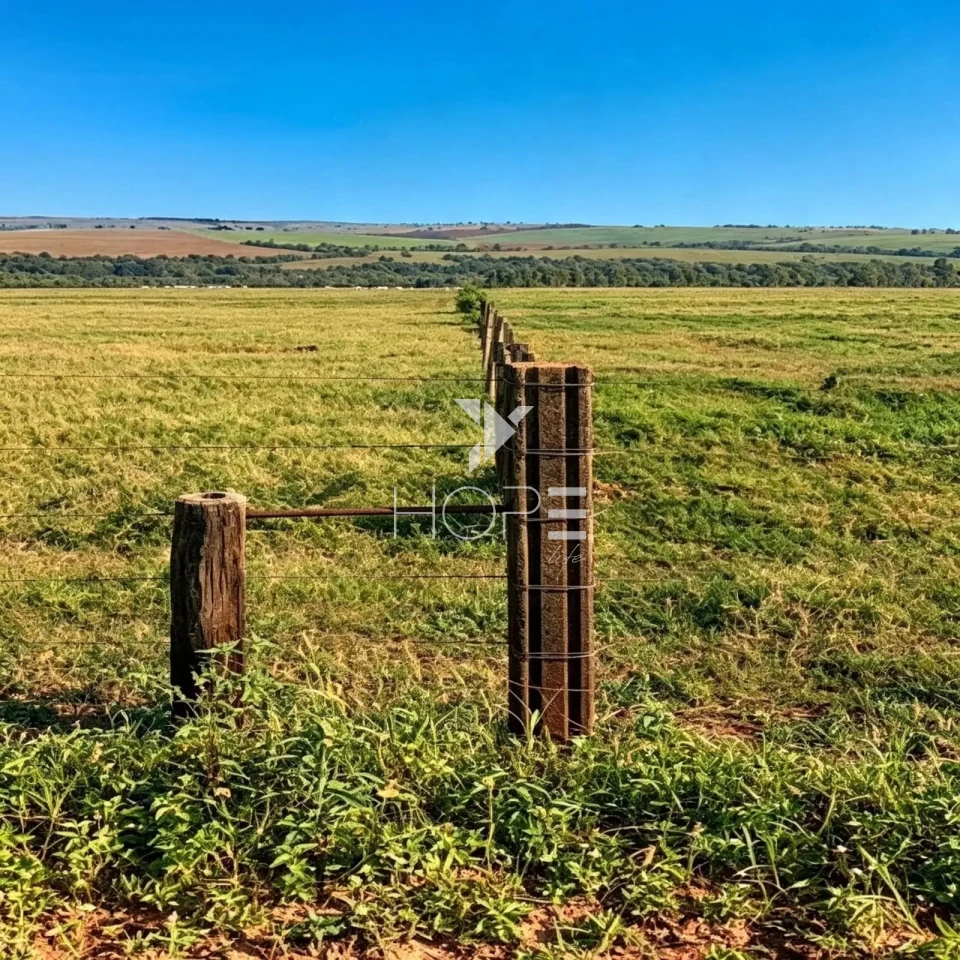 Imagens do imóveis Fazenda à Venda - Agricultura e Pecuária - Topografia Plana – 5.359 Hectares – Sonora – Sonora/MS