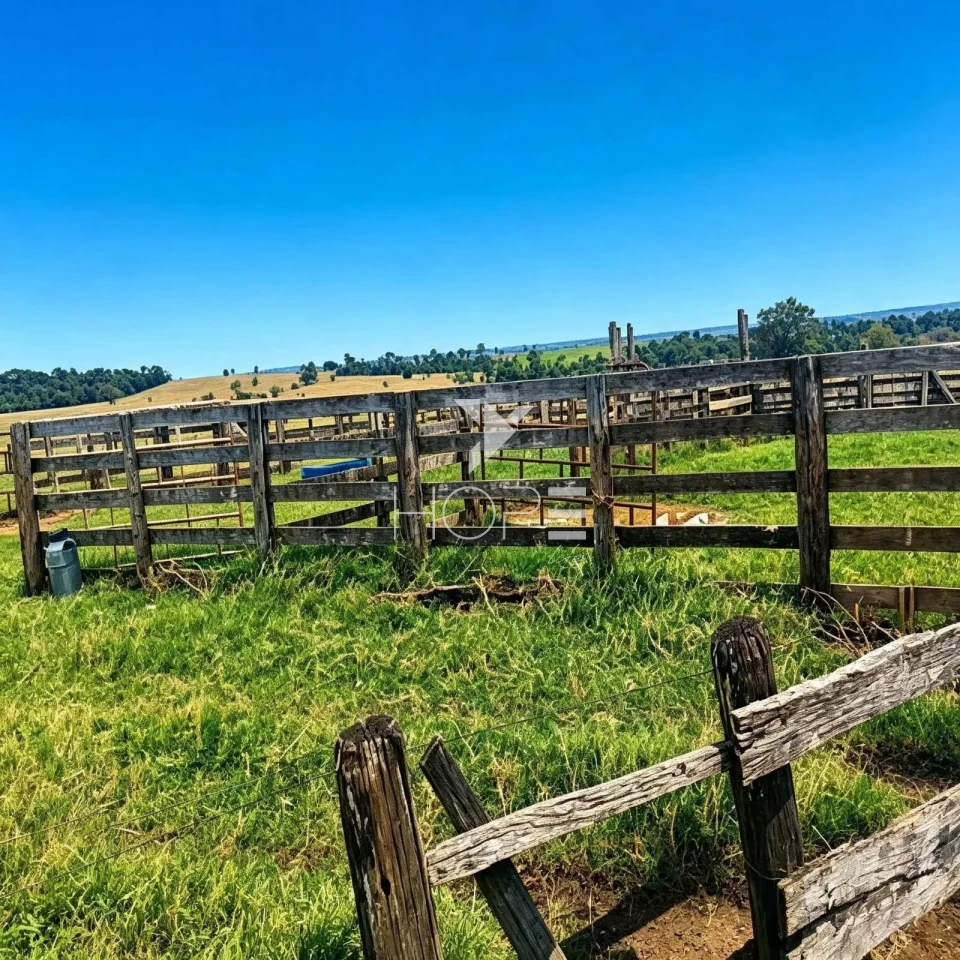 Imagens do imóveis Fazenda à Venda - 3km da Cidade – 183,77 Alqueires – Paranavaí – Paranavaí/PR
