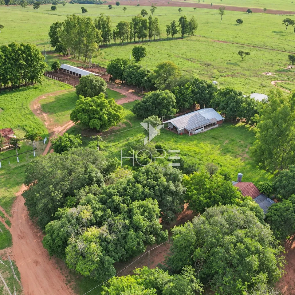 Imagens do imóveis Fazenda à Venda com Aptidão Pecuária – 235 Alqueires – Nova Andradina – Nova Andradina/MS