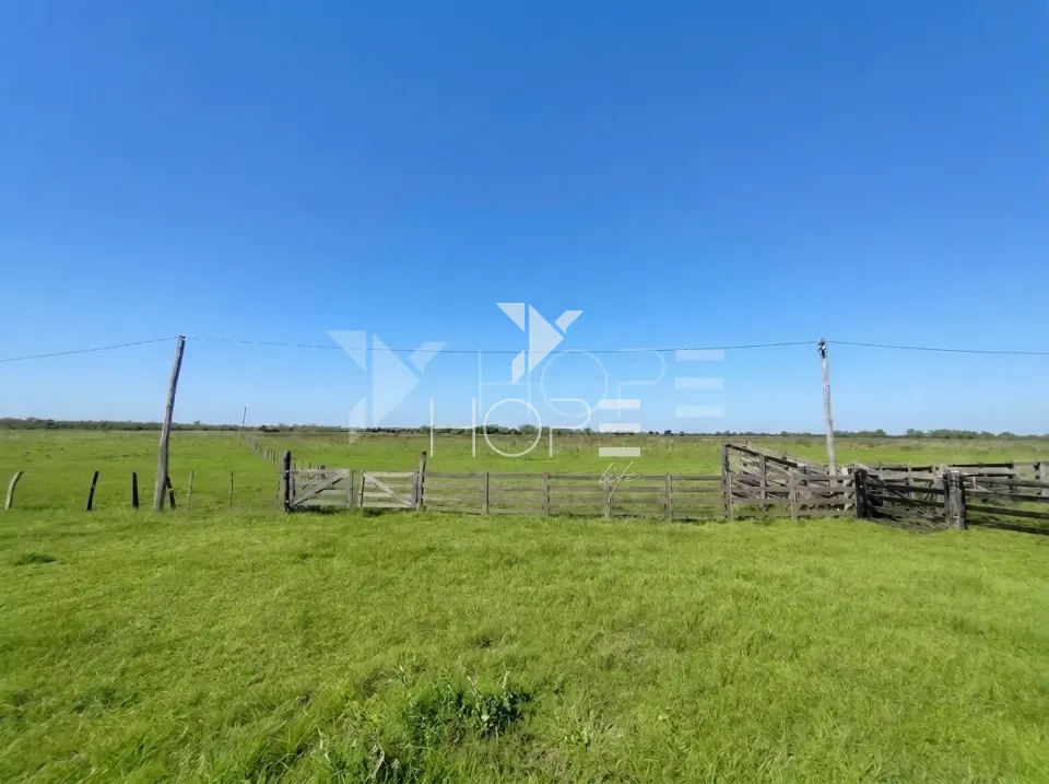 Imagens do imóveis Fazenda Pecuária à Venda – 1.000 Hectares – Estrutura para Pecuária – Poconé/MT