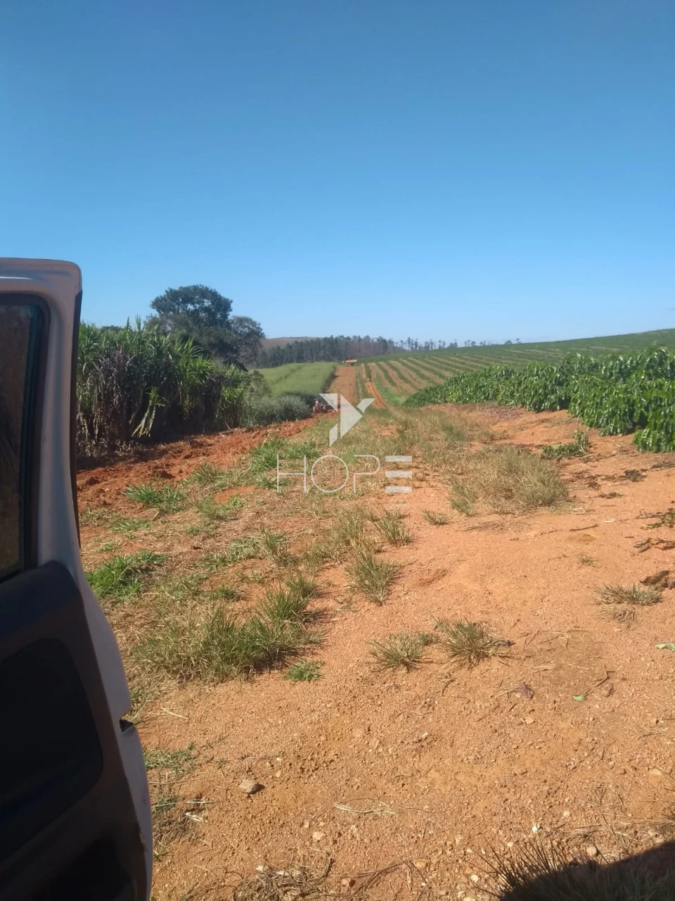 Imagens do imóveis Fazenda à venda 1.006 hectares cafeeira – região de Campos Altos – Minas Gerais