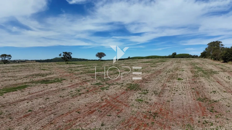 Imagens do imóveis Fazenda à venda com 133 alqueires - agricultura e pecuária - 80% de aproveitamento - Angatuba SP