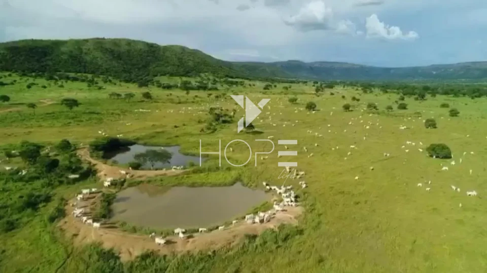 Imagens do imóveis Fazenda de dupla aptidão à venda com 1.765 alqueires - 8.543 hectares - porteira fechada - Alvorada do Norte GO