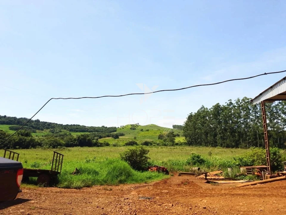 Fazenda à venda com 76 alqueires - pecuária com potencial agrícola - Guaravera - Londrina PR