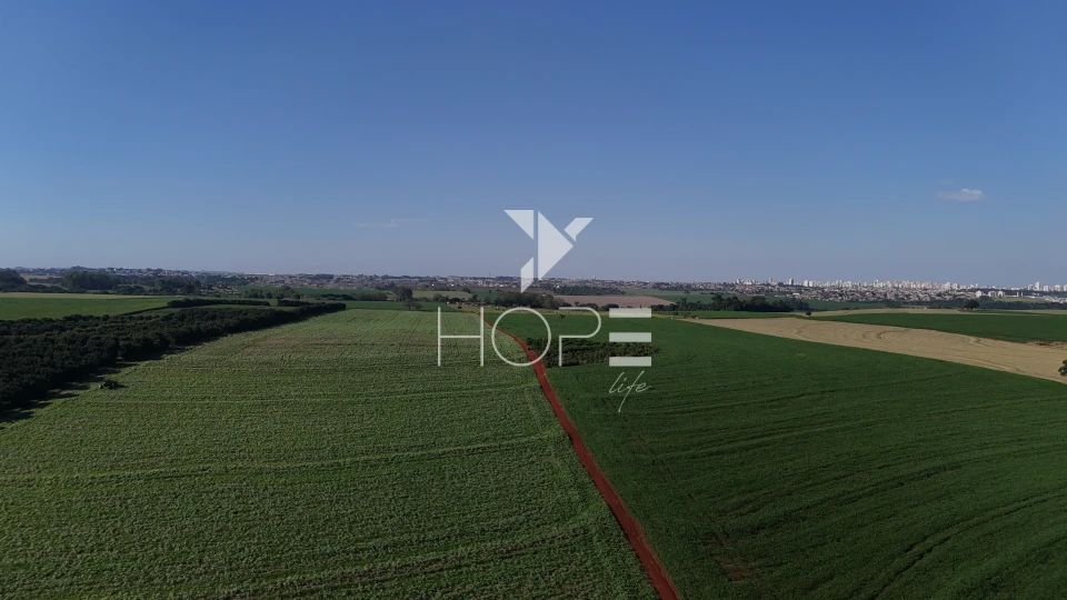 Imagens do imóveis Sítio à venda com 15 alqueires - 363.000m² - região do Bratislava - Londrina PR