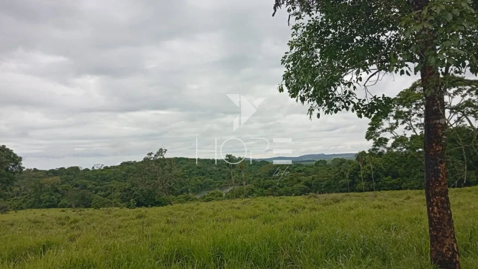 Imagens do imóveis Fazenda à venda com 260 alqueires - 201 formados - confinamento - apta para pivô - Mozarlândia GO