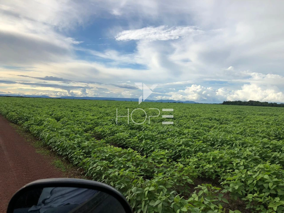 Imagens do imóveis Fazenda à venda 39.000 hectares dupla aptidão com armazém e pista de pouso – região de Confresa – Mato Grosso