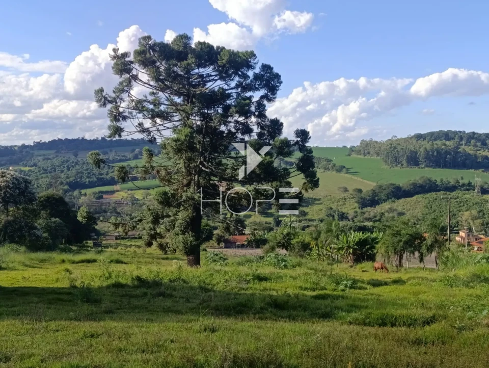 Imagens do imóveis Chácara à venda – 30.000 m² – Patrimônio Regina – Londrina/PR – Piscina e Espaço Gourmet