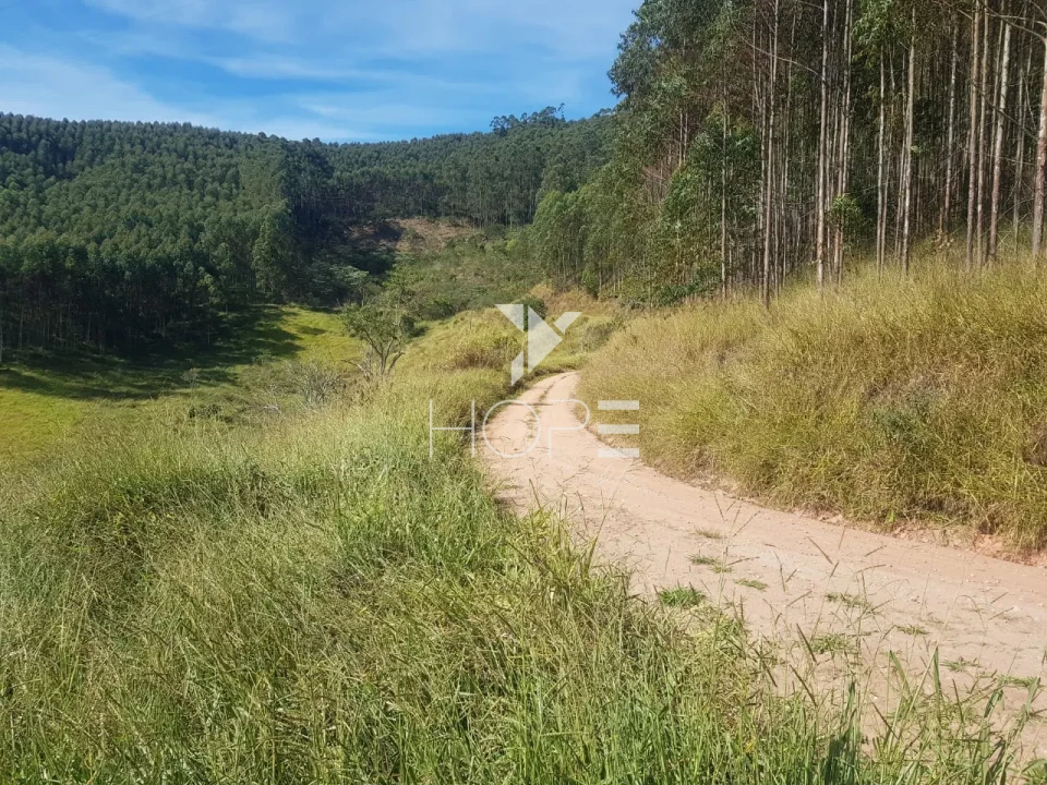 Imagens do imóveis Fazenda de eucalipto à venda com 124 alqueires - alto potencial florestal - Vale do Paraíba - Paraíbuna SP