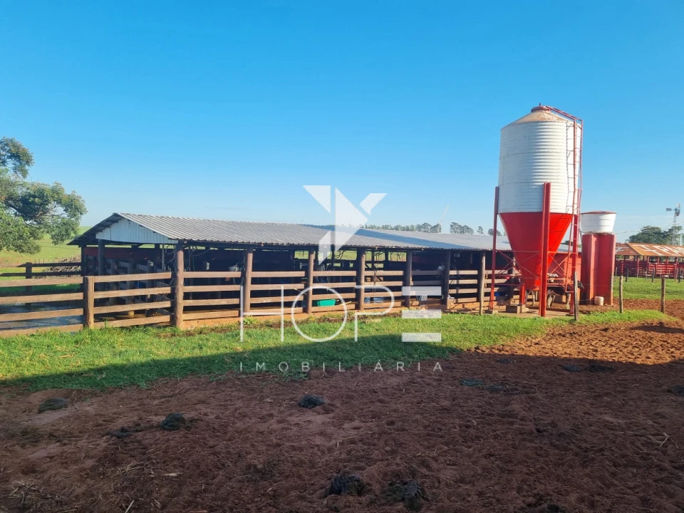 Imagens do imóveis Fazenda Leiteira Porteira Fechada à Venda – 78 Alqueires – Paranavaí/PR – Estrutura Completa + Usina Solar