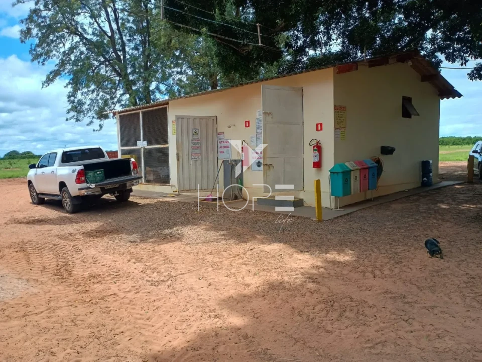 Imagens do imóveis Fazenda de laranja à venda com 77.5 alqueires - 77.150 pés - certificado para exportação - Região de Marília SP