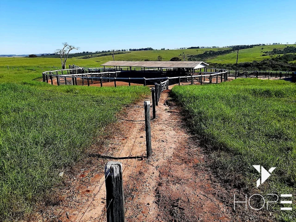 Imagens do imóveis Fazenda de 217 Alqueires – Localização Estratégica na Beira da Rodovia, a Apenas 50 km de Campo Mourão