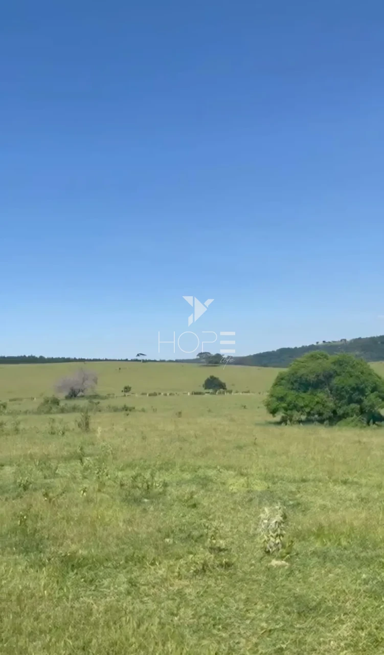 Imagens do imóveis Fazenda à venda com 204.5 alqueires - pecuária bovina - estrutura completa - região de Marília SP