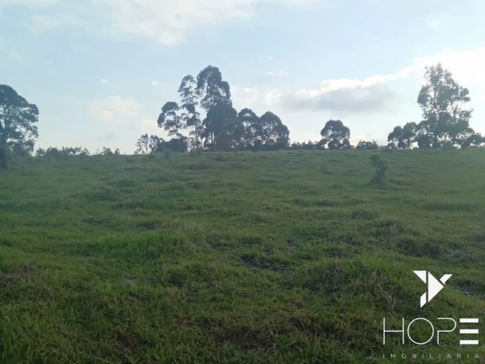 Imagens do imóveis Sítio à venda em Tamarana – Localização privilegiada na beira da estrada