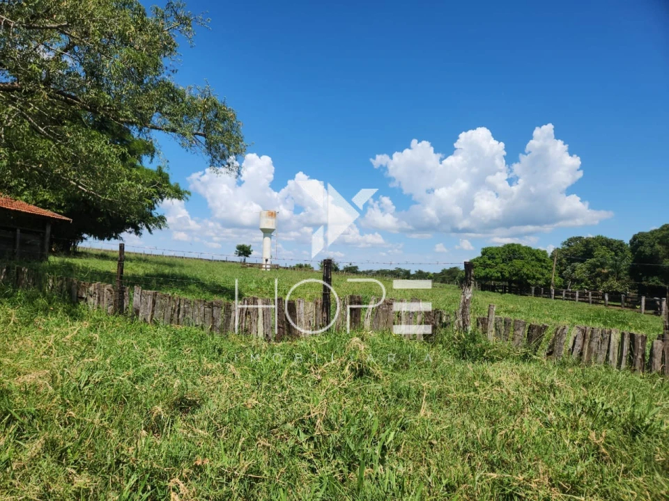 Imagens do imóveis Fazenda à Venda em Santo Antônio do Aracanguá/SP – 203 Alqueires (491.26 ha) – Área com Estrutura Completa