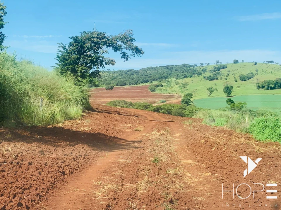 Imagens do imóveis Fazenda à Venda – 84 Alqueires – Sertanópolis/PR