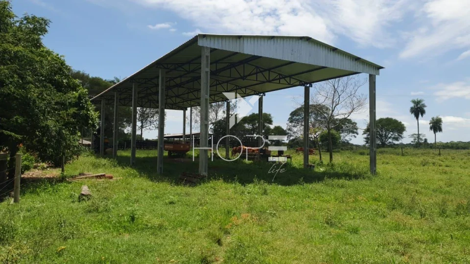 Imagens do imóveis Fazenda à venda com 57 alqueires - dupla aptidão - rio nos fundos - Batayporã MS