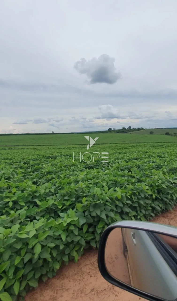 Imagens do imóveis Fazenda à Venda - Solo Misto – 174,24 Hectares – Bauru/SP