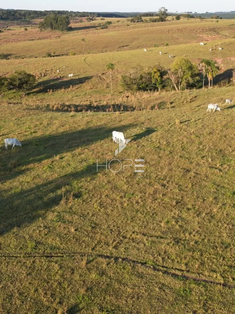 Imagens do imóveis Fazenda à Venda na Região de Paranaparema – 96,8 Hectares – Itapetininga/SP