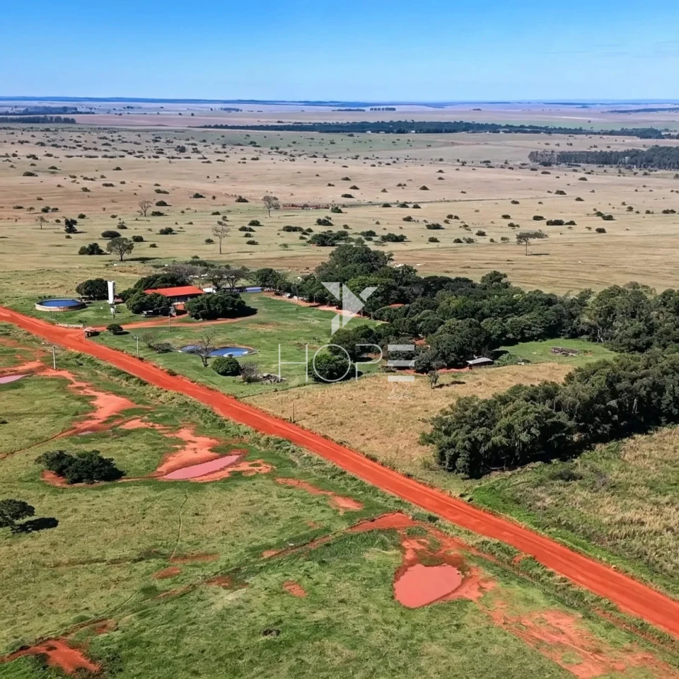 Imagens do imóveis Fazenda à Venda com Aptidão Pecuária - Topografia Plana – 560 Alqueires – Rosana/SP - Fronteira SP - PR - MS