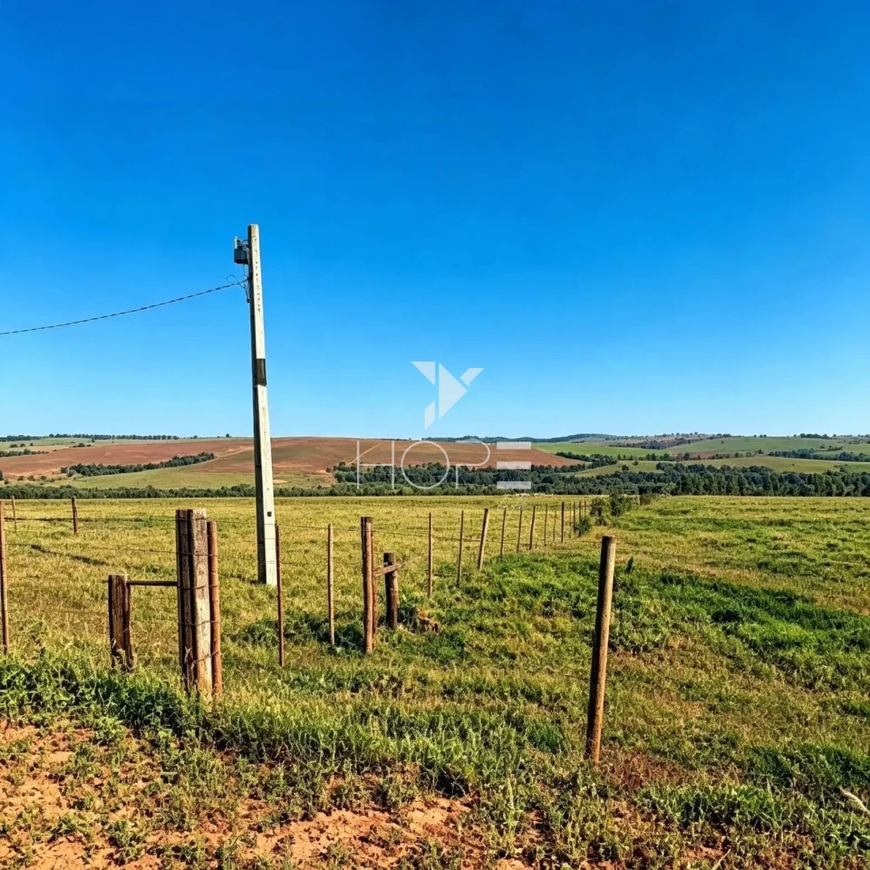 Imagens do imóveis Fazenda à Venda - Agricultura e Pecuária - Topografia Plana – 5.359 Hectares – Sonora – Sonora/MS