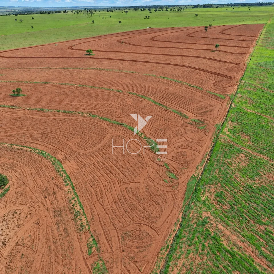 Imagens do imóveis Fazenda à Venda com Aptidão Pecuária – 235 Alqueires – Nova Andradina – Nova Andradina/MS