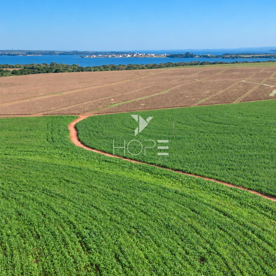 Imagens do imóveis Fazenda á Venda - 755 Hectares - Frente para a Represa do Rio Tibagi - Sertaneja/PR