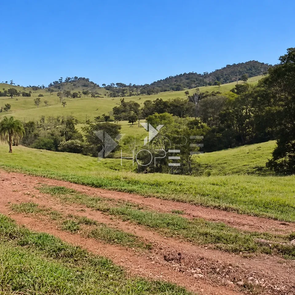 Imagens do imóveis Fazenda à Venda – Zona Rural – Rubiataba/GO