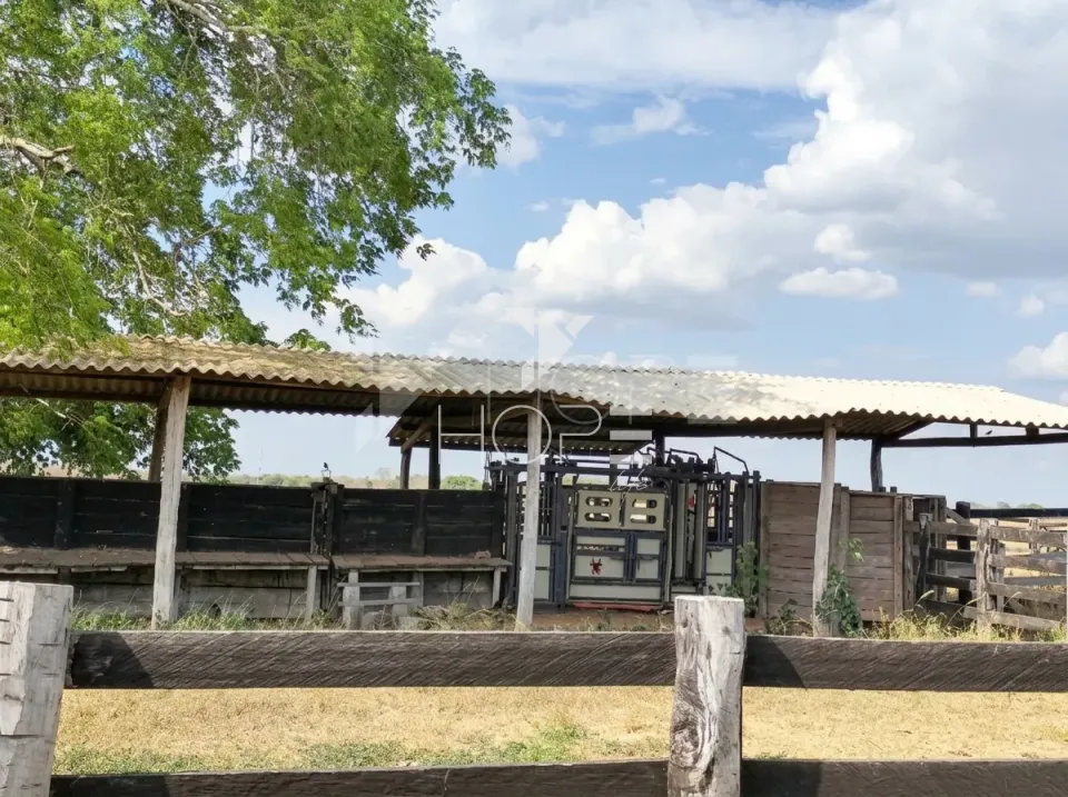 Imagens do imóveis Fazenda Pecuária à Venda – 1.000 Hectares – Estrutura para Pecuária – Poconé/MT