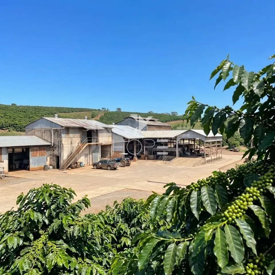 Imagens do imóveis Fazenda de Cafeicultura à Venda – 4.767,18 Hectares – Cafeicultura e Produção de Grãos – Unaí/MG