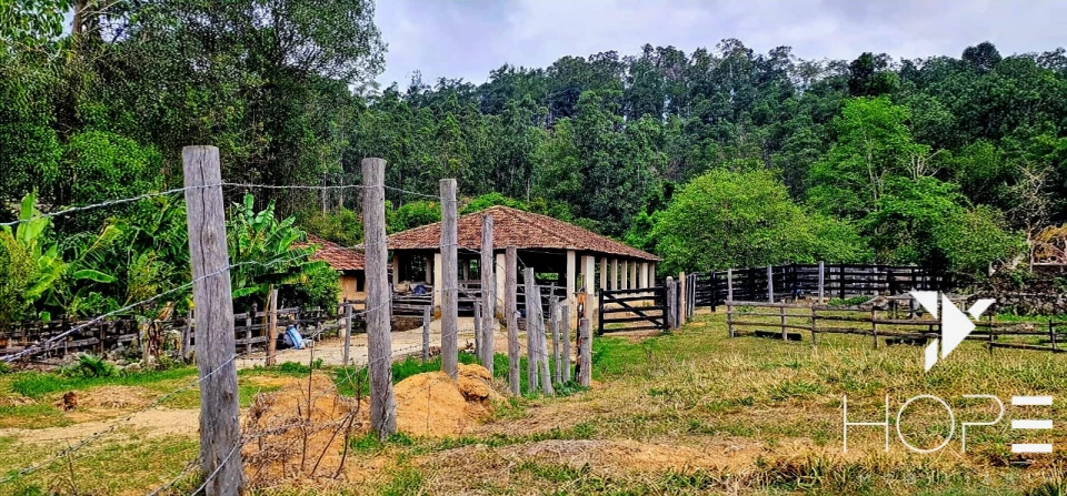 FAZENDA DE 216 ALQUEIRES COM EUCALIPTO À VENDA – VALE DO PARAÍBA/SP